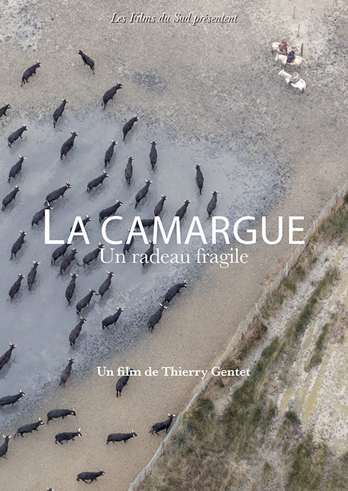 La Camargue, un radeau fragile