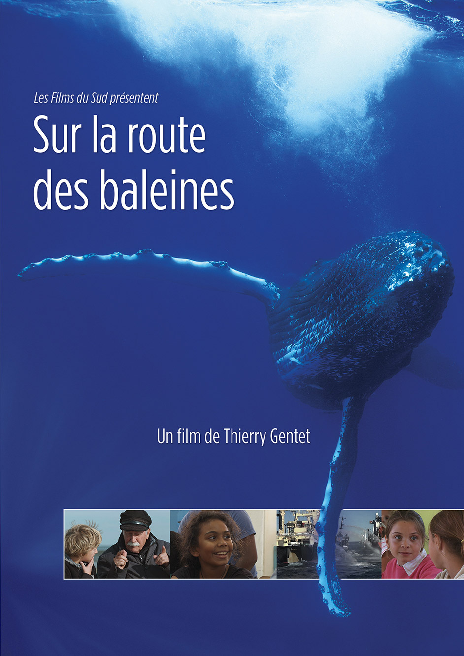 Sur la route des baleines